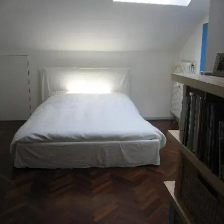 Central Penthouse Historical Turin Apartment *